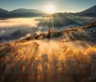 篮球世界杯夺冠赔率-篮球世界杯夺冠赔率，透视竞技舞台的微妙平衡