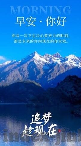 炸金花认牌器-炸金花认牌器，揭秘与反思