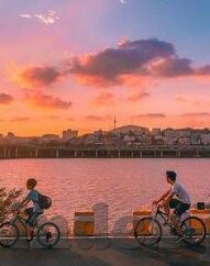足球比分是胜负-足球比分，胜负背后的竞技哲学与情感交响