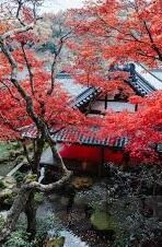 足球点球比分查询-足球点球大战全解析，比分查询、历史经典与战术奥秘